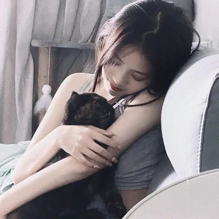 系统又骗我告白